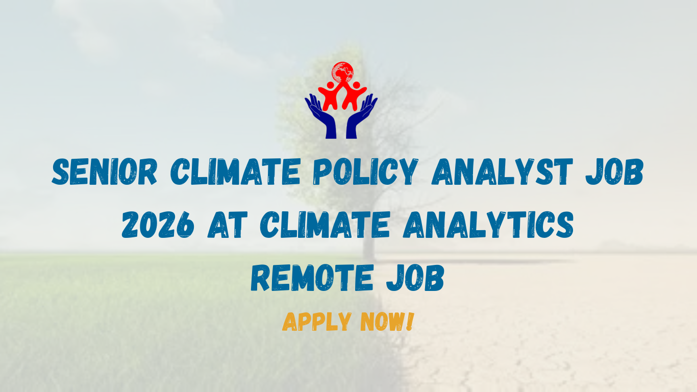 Senior Climate Policy Analyst Job 2026 at Climate Analytics | Remote Climate Finance Career in USA