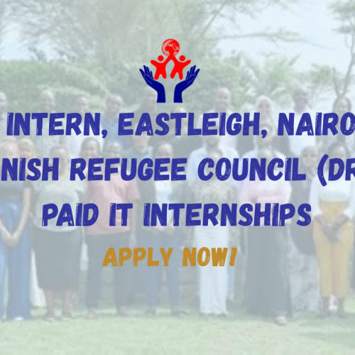 Paid IT Internship – Opportunity at Danish Refugee Council (DRC)