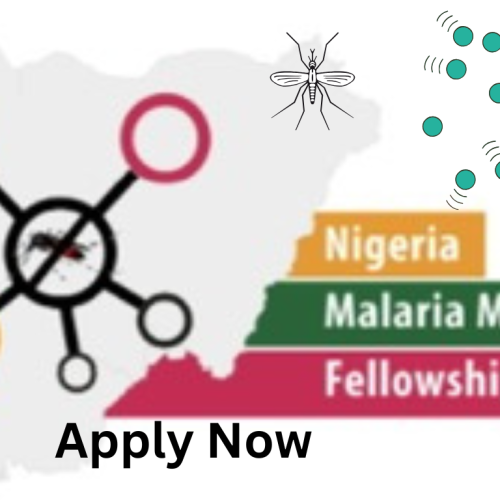 Fellowship! Nigeria Malaria Modeling Fellowship