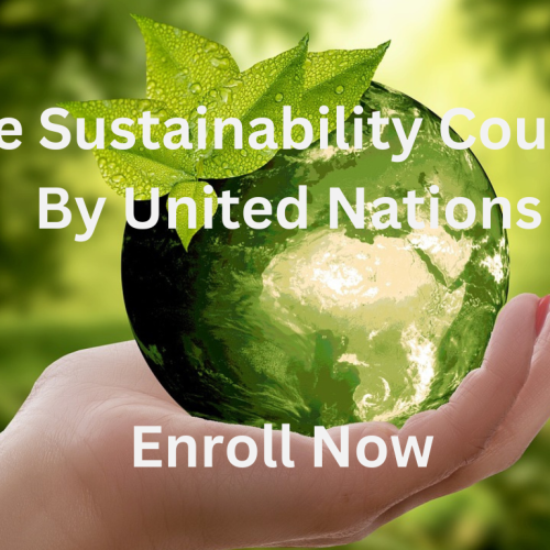 Online Sustainability Courses by United Nations