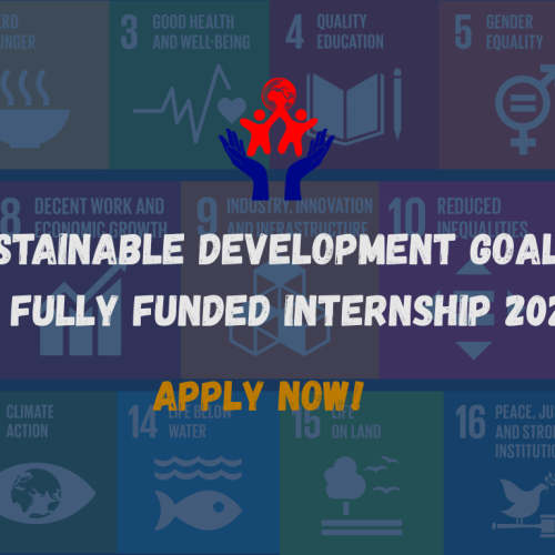 Fully Funded UN Internship: UN Sustainable Development Goals 2025 Intern
